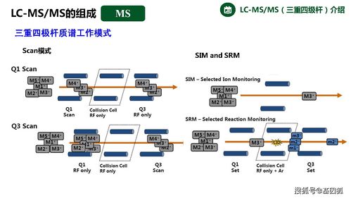 临床质谱技术及其在生物标记物检测中的应用与前景
