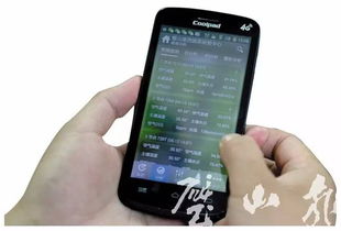 农业科技园区引入物联网技术，蔬菜大棚升级为现代化智能工厂