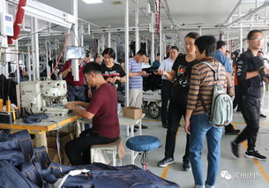 智能纺织新视野 滨州市纺织行业协会走进海思堡、康平纳、如意集团学习活动纪实